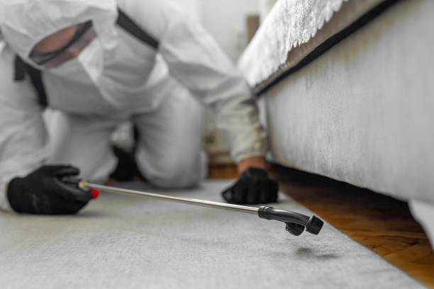 Professional Bed Bug Control technician working in Bloomington, IN