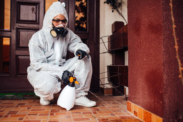 Reliable Bed Bug Control contractor in Bloomington, IN by Nex Pest Control